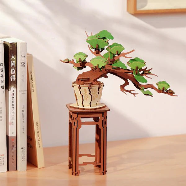 Maquette Bois | Bonsai TG510