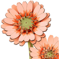 Maquette bois Fleurs de Marguerite Gerberas Orange